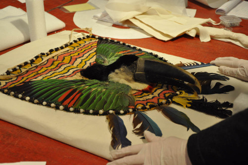 How to Pack Your Toucan! (Part 1) Associate Conservator Angela Duckwall had an unusual task this wee