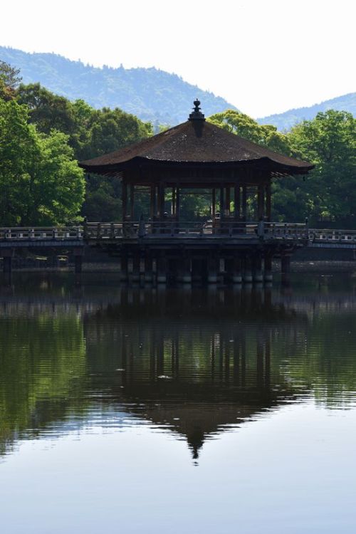 奈良県　奈良公園　 Nara Narapark  