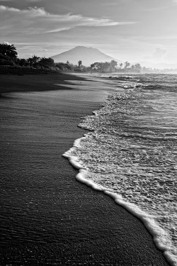 rainbowforests:  more black and white here 