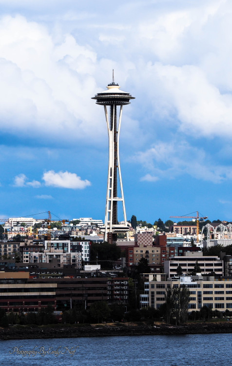 Seven Day Alaska Cruise out of Seattle.August 2016Leaving Seattle, One of Two