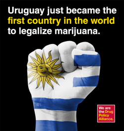 Today, in a closely watched vote, Uruguay