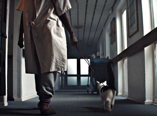 LUPITA NYONG'O As SAM (featuring Some Frodo)A QUIET PLACE: DAY ONE (2024) Dir. Michael Sarnoski