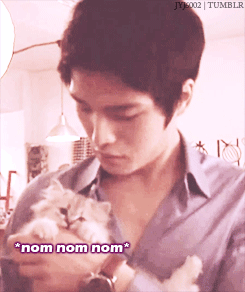 Cute bitch cat :(