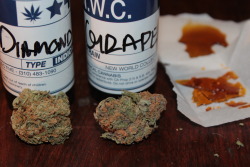 veraisastoner:  everything indica ~ white