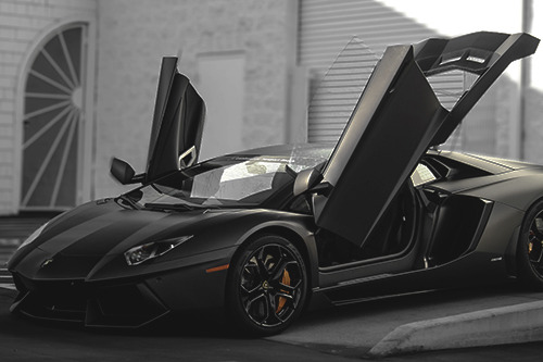 Luxury Kingdom