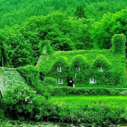 sixpenceee:  A 500-year-old teahouse in Wales.