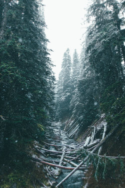 earth-dream:  First Snowfall