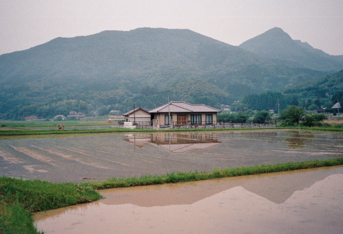 Film Photos Of Amakusa, Japan Taken During My Final Month There In July.