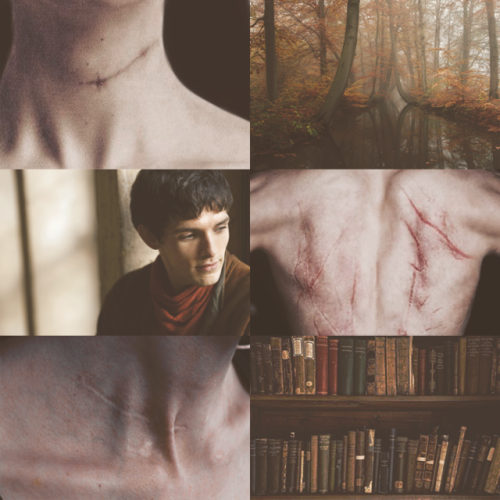 brokenfannibal: Merlin Memory Month Day 9 Path 3: Things to hide/ Things to reveal I saw a post abou