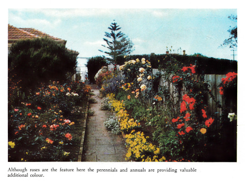 Flower Gardening with the Journal of Agriculture, 1962