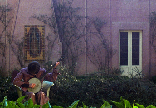 hayaomiyazaki:I should like to change into a sunflower most of all. They’re so tall and simple.— HAR