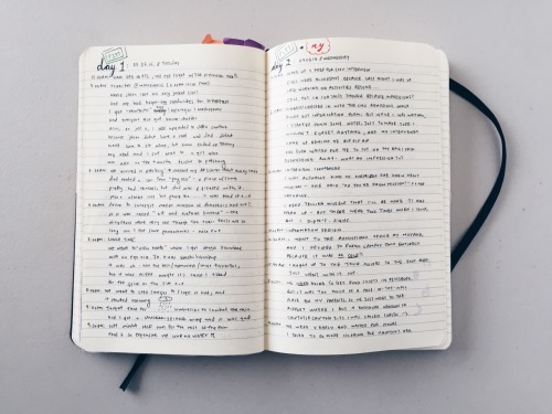 365text: i thought since i showed some photos of what my bullet journal entries looked like, that i&