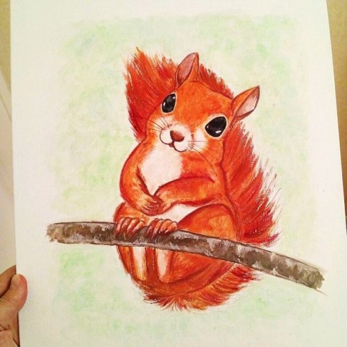 comuto-art: my squirrels:3 