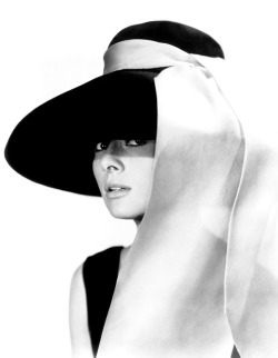 #Happybirthdayaudrey