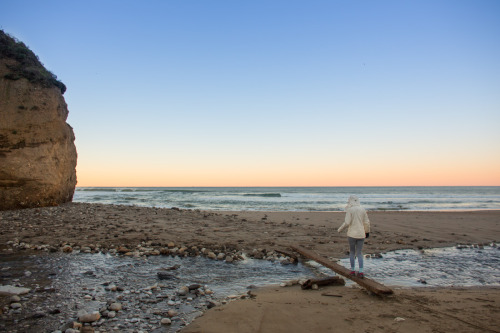 POINT REYES: WILDCAT CAMPGROUNDSimply beautiful! It can be difficult to reserve a spot here on the w