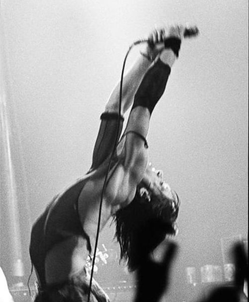 theunderestimator-2: Punk rock shaman Iggy Pop performing at The Electric Ballroom, Camden, North Lo