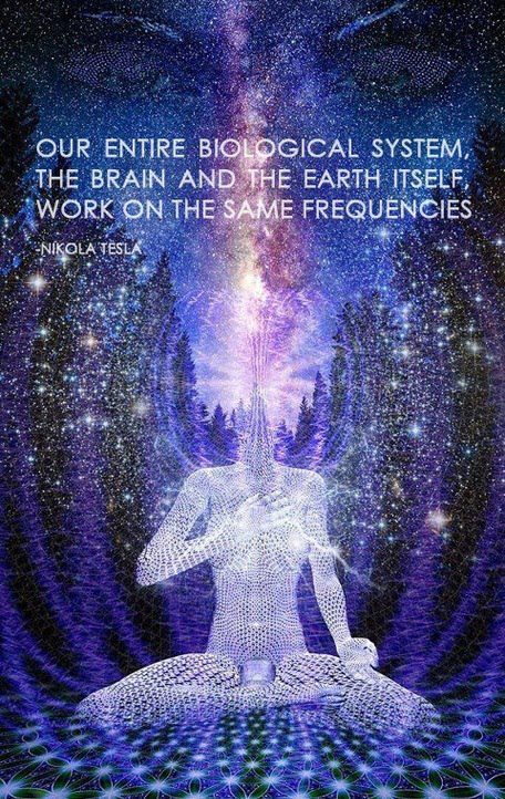 druiddaydreams:  The Science behind Witchcraft part 1 Our entire biological system,