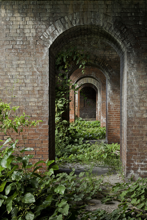 patgavin:  Fort Carroll, Baltimore, Md Pre-Civil War man-made defense island in the middle of the Patapsco River, designed by Robert E. Lee, abandoned for almost a century.   holy shit, this place looks amazing…never heard of it, but wow, that