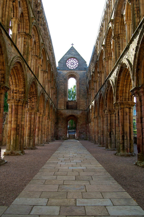 The ruined arches of Jedburgh Abbey, Scotland (by maaikees).