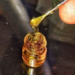 pauloanthoni:  clear concentrates