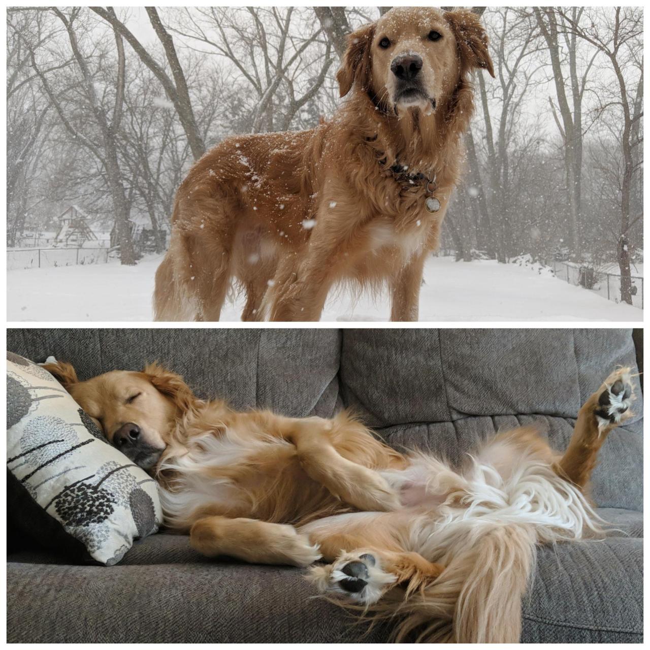 The before and after of playing in the snow