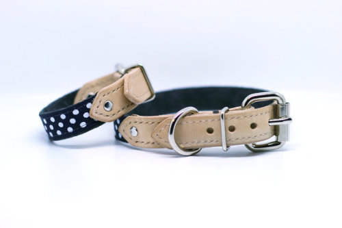  matching bracelet and and dollar collar set? WANT.