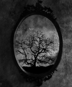 slobbering:  Old Mirror by Vickie666