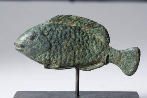 Tilapia Fish Solid cast bronze statuette of a Tilapia fish. Ptolemaic Period, ca. 305-30 BC. Private