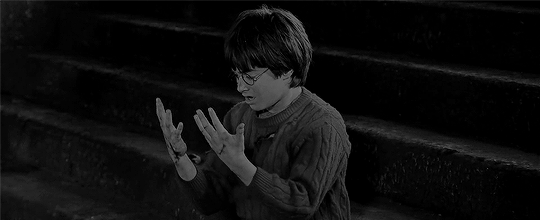 harrjpotter:  ‘Braggarts and rogues, dogs and scoundrels, drive them out, Harry