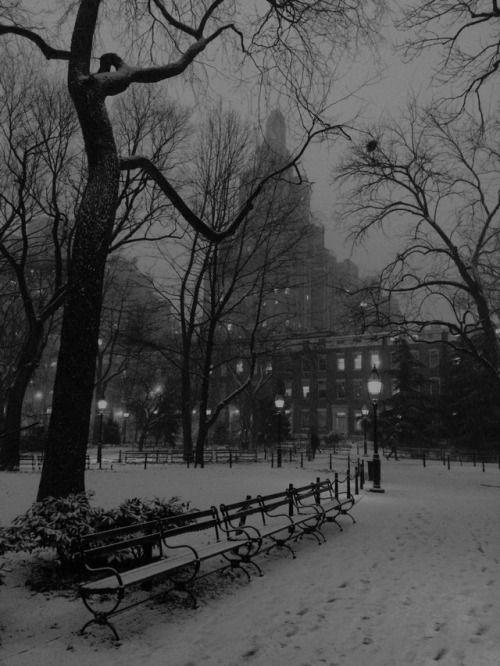 wagesoffear:Washington Square