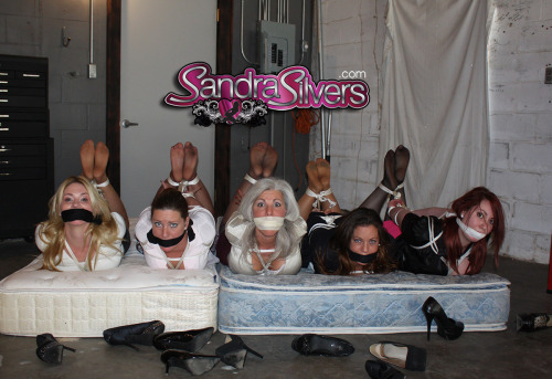SandraSilvers.com - FIVE Hogtied MILF Secretaries Held Hostage in the Warehouse! Attempt Teamwork Es