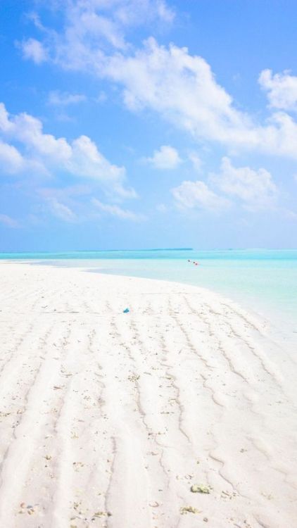 Tropical beach, Maldive, summer, sand, 720x1280 wallpaper @wallpapersmug : https://ift.tt/2FI4itB - 