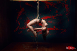 bdsm-place:  Awesome photography at Gorgone-Kinbaku