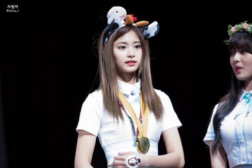korean-dreams-girls:Tzuyu (Twice) - Sangam Fansign Event Pics
