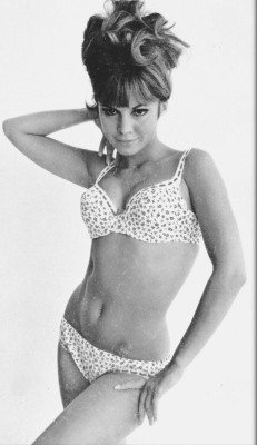 retrogirly:  Jocelyn Lane 