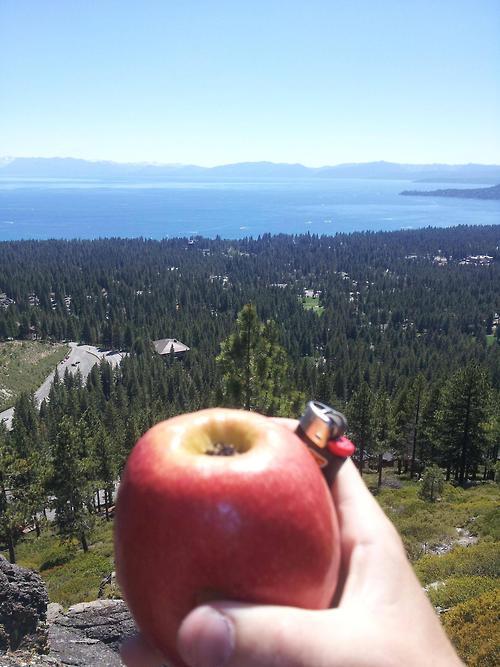 legalizeact:  I’ll take a Apple, On the Rocks!