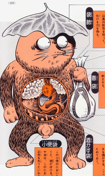 wnycradiolab:papelnaranja:Anatomía de monstruos XD [LINK]An illustrated guide to Japanese folk monst