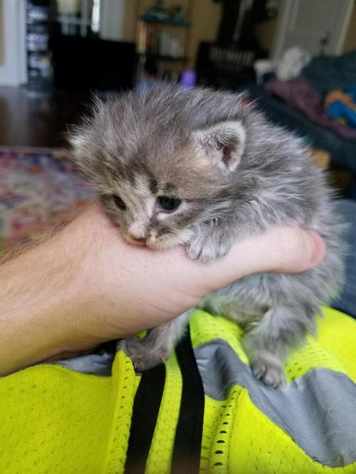 awwww-cute:  I found this girl in an old funeral home that’s being demolished (Source: http://ift.tt/2hk8AZb)
