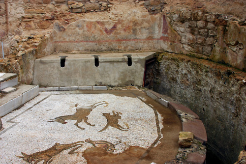 museum-of-artifacts:Roman public toilets with amazing mosaics. Villa Romana del Casale - house which