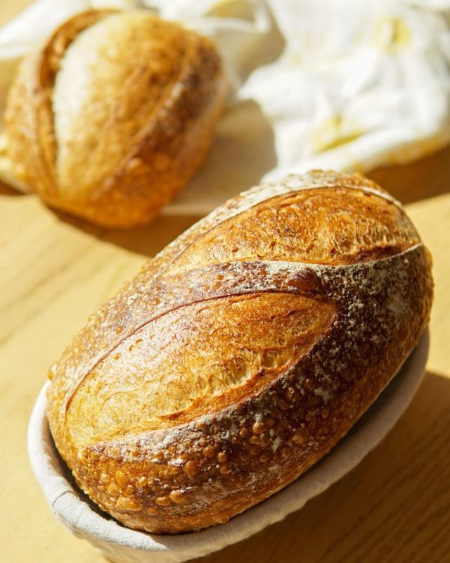 wheat.wit #bread#baking#food#cottagecore#sourdough#levain#campagne#loaf#shokupan #pain de mie