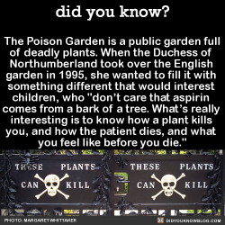 did-you-kno:  The Poison Garden is a public