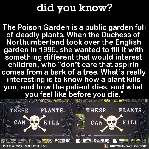 did-you-know:The Poison Garden is a public garden fullof deadly plants. When the Duchess of Northumb