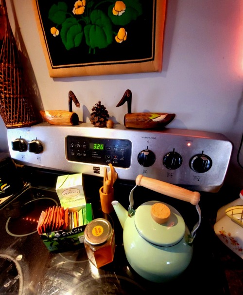 Thinking About Fall Evenings With A Good Cup Of Tea