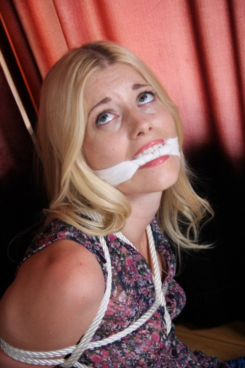 Cleaveland: Best Cleave Gags