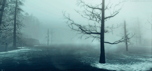 zaeedsmassani:The Fog of Far Harbor