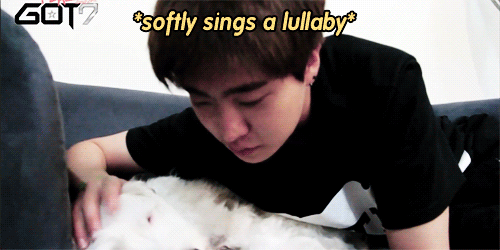 jackandjael:  youngjae being warm and loving to the sleepy puppy (*´ ˘ `*).｡oO ( ♡ ) 