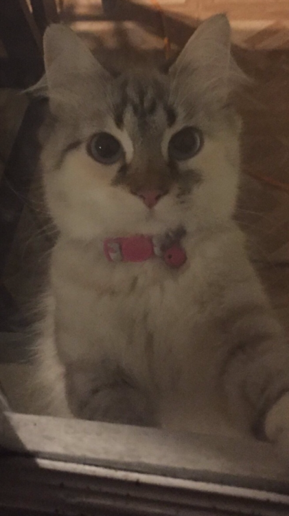 jordynslefteyebrow: “the devil is real and he isn’t a red man with horns and a tail, he 