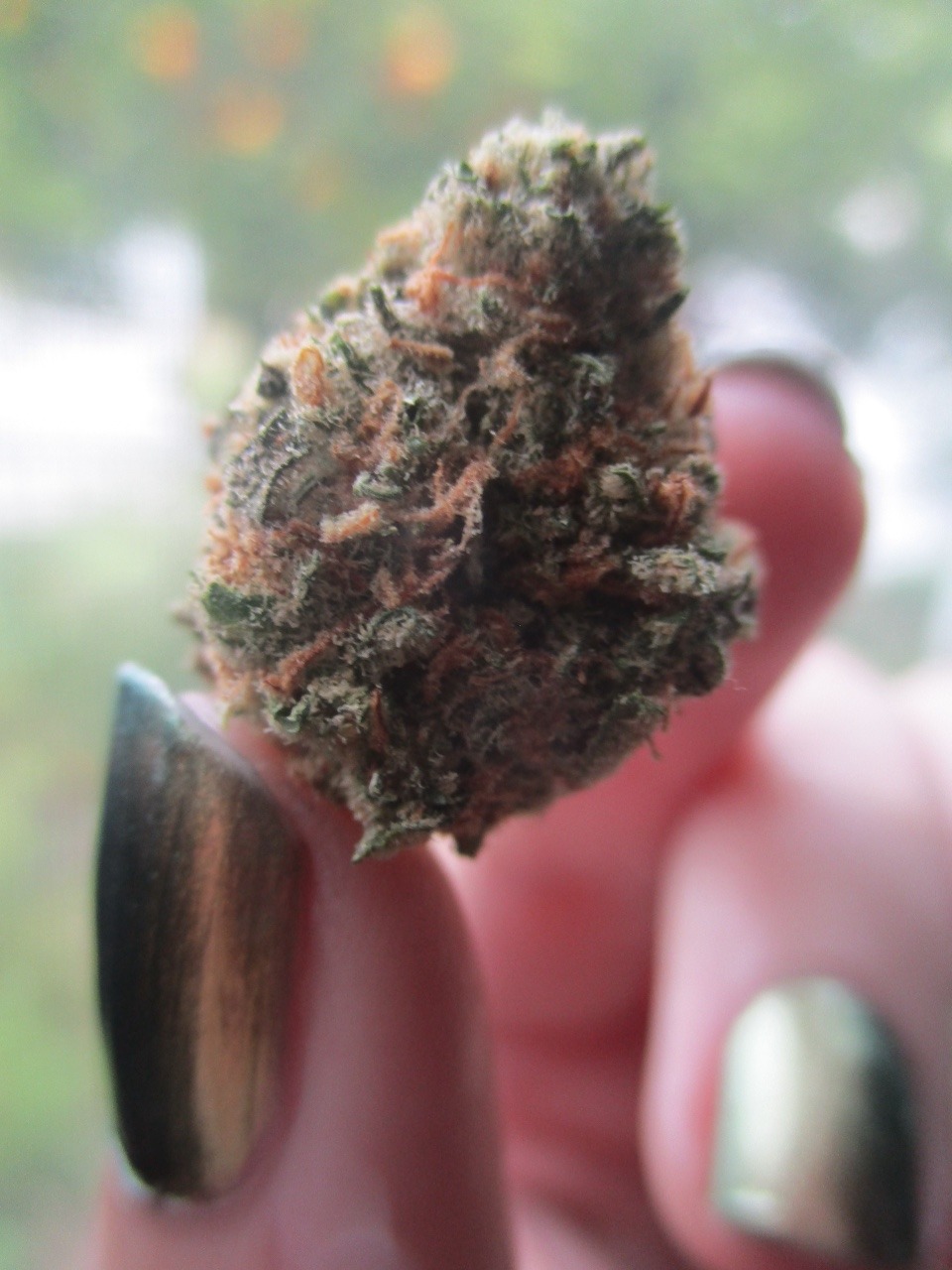 chloechronic:  jack 😋