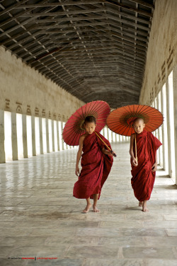 dharmaquest:  Young Monks in Burma 
