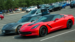 silentcartography:  Stingrays mate for life, and these are just cars. Sex #SILENTCARTOGRAPHY #carsofinstagram #instacar #chevorlet #chevy #corvette #stingray #america #freedom 